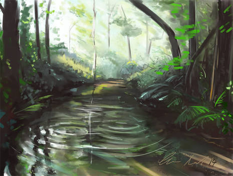 River Study