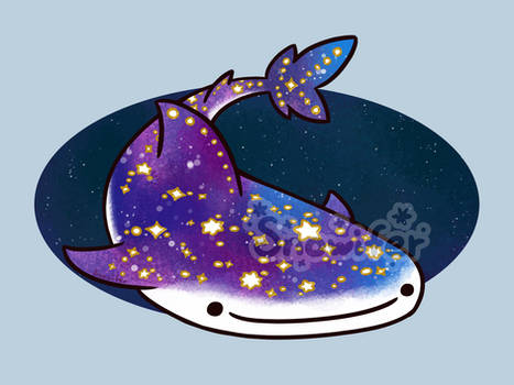 Star Shark