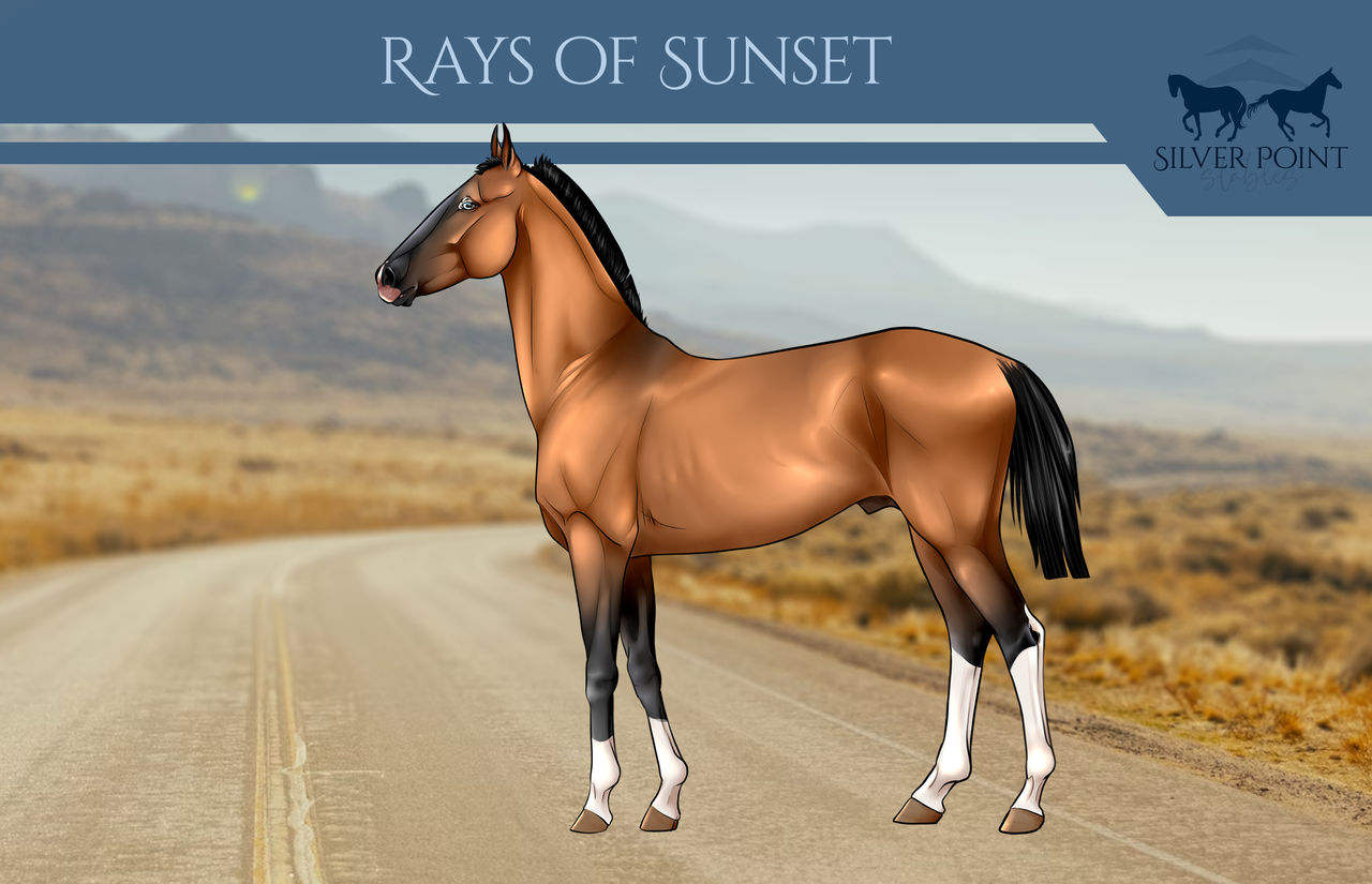 Rays of Sunset - reference by Shie-an on DeviantArt