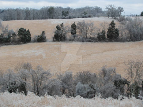 Snow Covered Fields