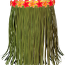 Green Grass Skirt PNG