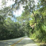 Florida Road