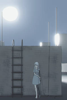 Day 12. Foggy morning.