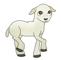 Tiny Lamb