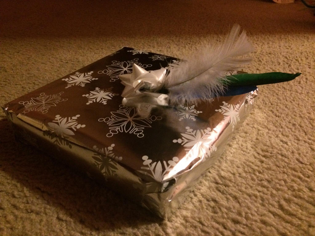 Gift-Wrapping! by Nightindrake on DeviantArt