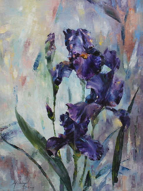 irises