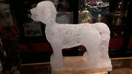 Ice Dog