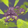 Weezing