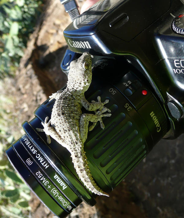 surreptitious advertising by kurayamide on DeviantArt