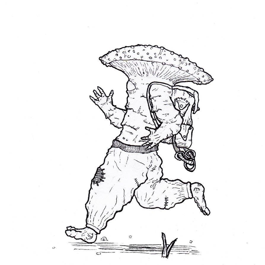 Running toadstool by mastersega on DeviantArt
