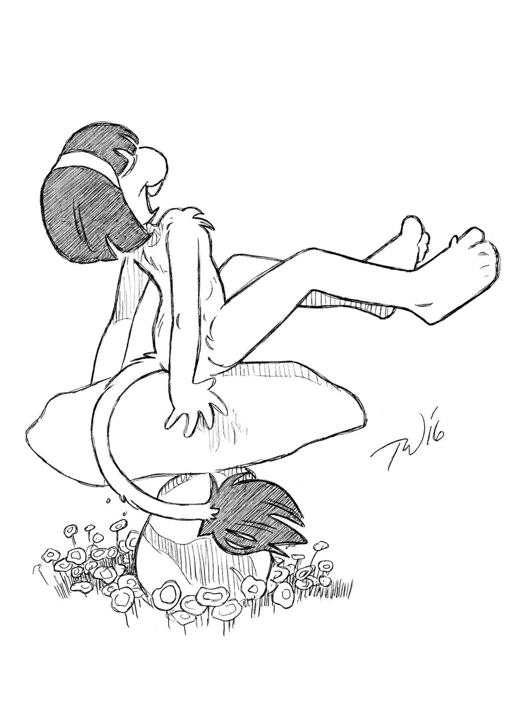 Laughing Rock by TaralWayne