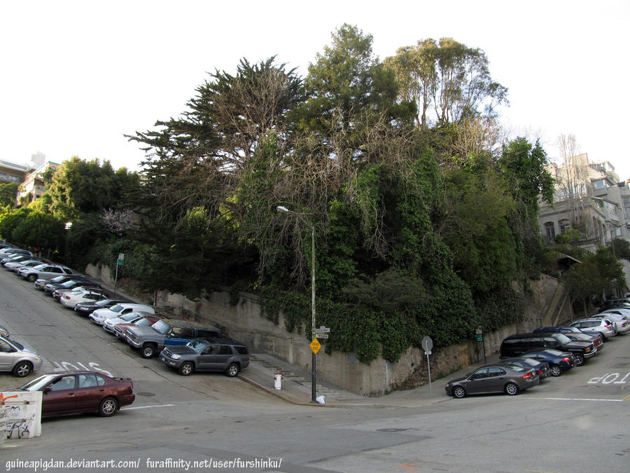 San Francisco Mini-Forest