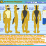 Chuck Ref Sheet