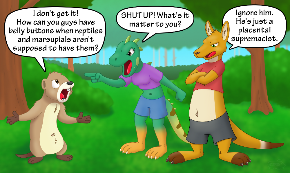 Button Conundrum The Furry Belly Button Conundrum by GuineaPigDan on DeviantArt