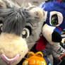 Peter and Sonicfox (FC'19)