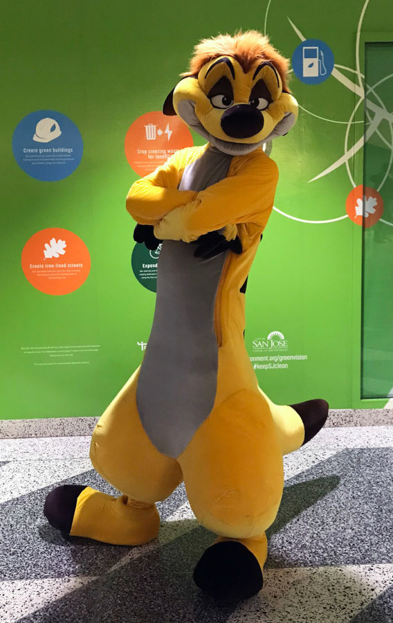 Timon by himself (FC'23) by GuineaPigDan on DeviantArt