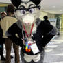 Kipper the possum FC'25