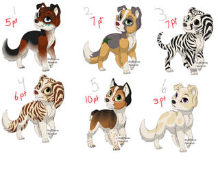 Adopts!