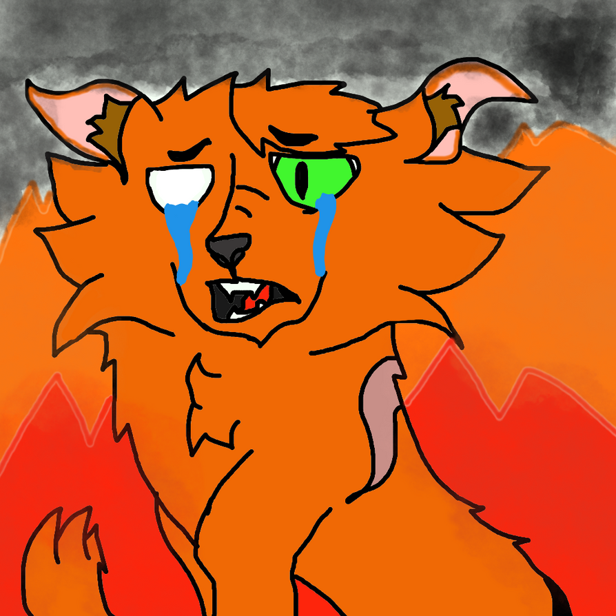 Firestar Sad Firestar's Grief by SaharaSandWing on DeviantArt