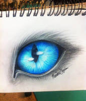 Cat Eye Drawing