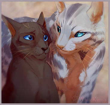 Crowpaw and Feathertail