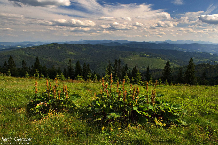 Beskidy