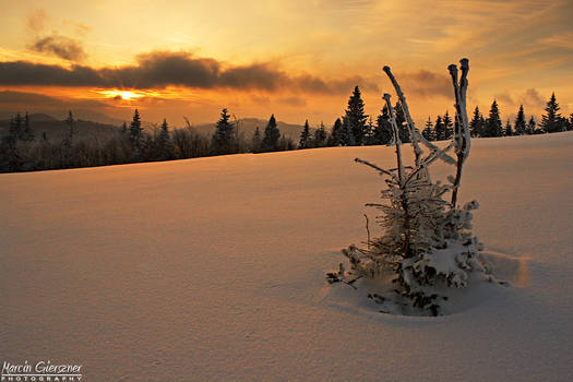 Sunset over the snow