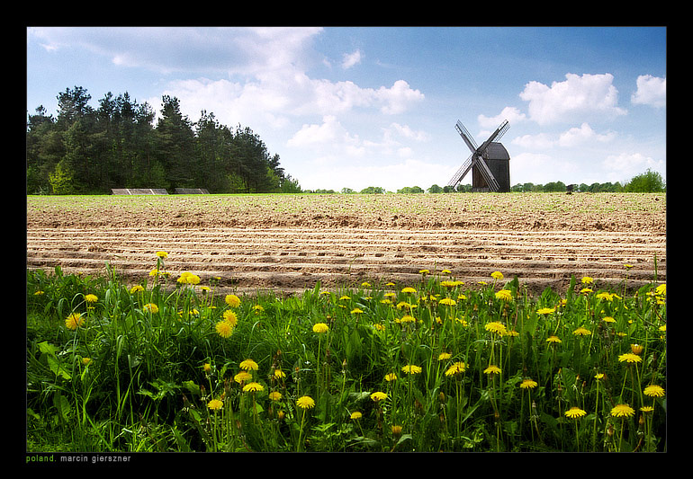 Summer Reminiscence...