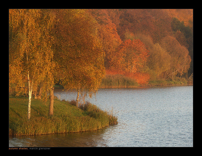 Autumn Shades...