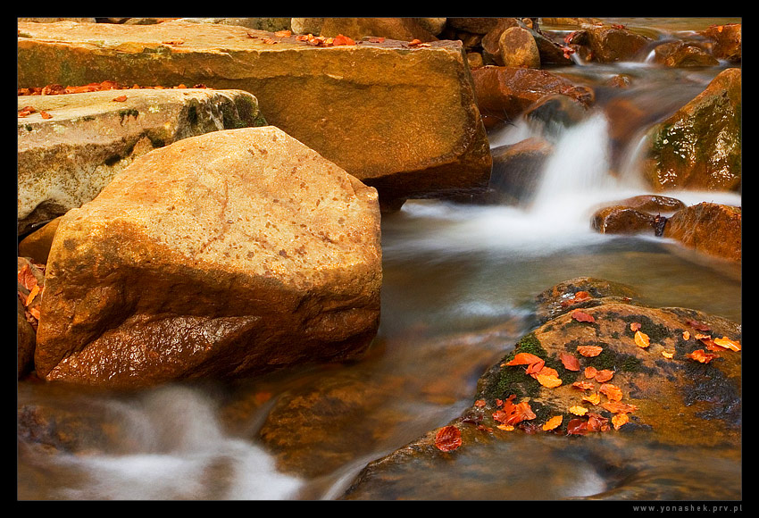 The Colors of the Autumn