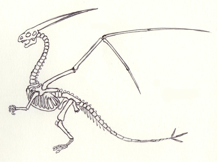 Flygon Skeleton