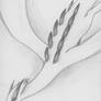 Lugia drawing