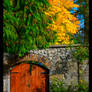 Autumn In Belvedere, Ireland