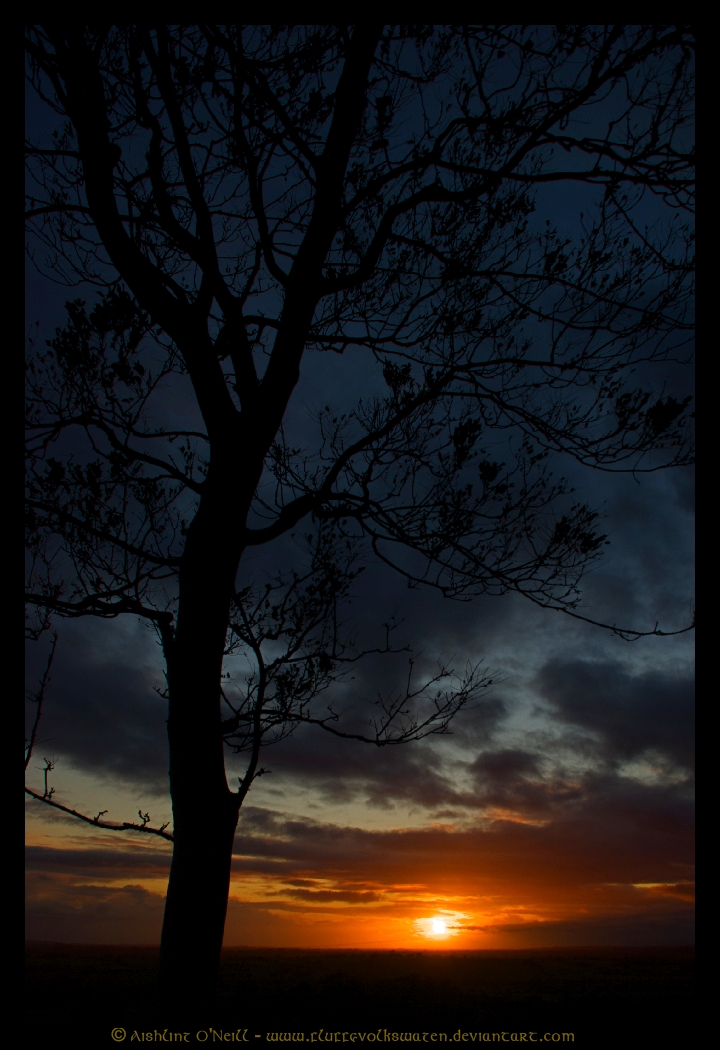 In This Twilight, Ireland