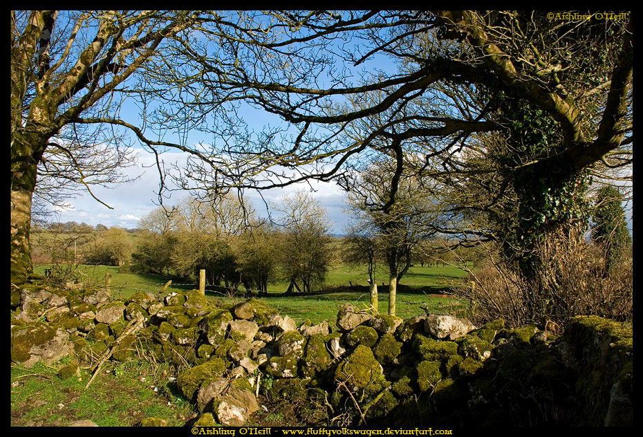 Spring Returns to Ireland II