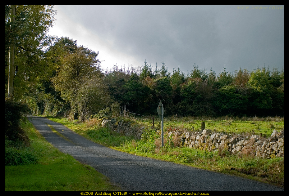 Boreen, Ireland by fluffyvolkswagen