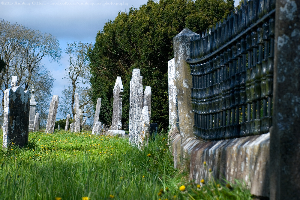 Abbeyshrule Graveyard, Longford, Ireland