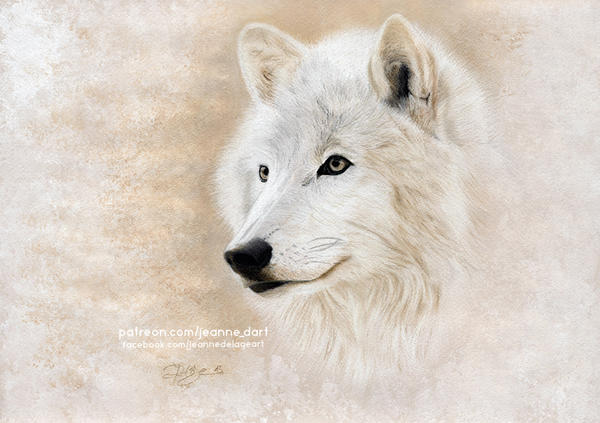 White Wolf by Jeanne-Lui on DeviantArt