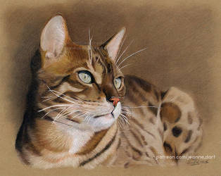 Beautiful Bengal Cat 'Loki' (Speedpainting) by Jeanne-Lui