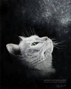 White Cat in Pastel | Speedpainting by Jeanne-Lui