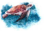 Sea Turtle in Watercolor by Jeanne-Lui
