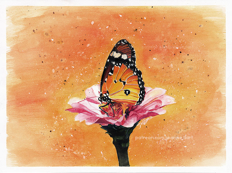 Original Art - Colorful Swallowtail Butterfly Floral Watercolor Painti