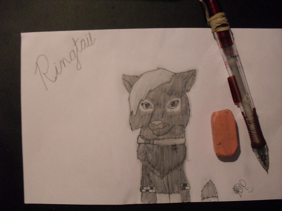 Deviantart Ringtail Ringtail by iceleaf101 on DeviantArt