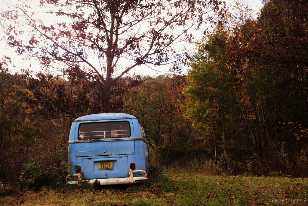 Wicca Van