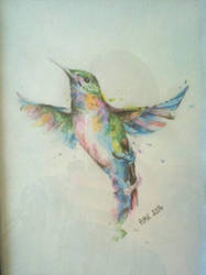 Colibri