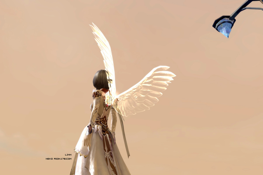 Aion-wings 7