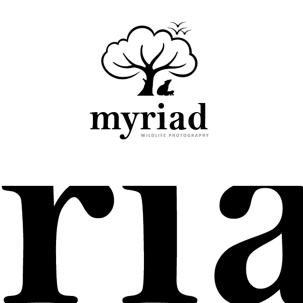 Myriad WildLife Photography by sixthlife