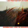 Nature Photoshop Actions - DISCOUNT!