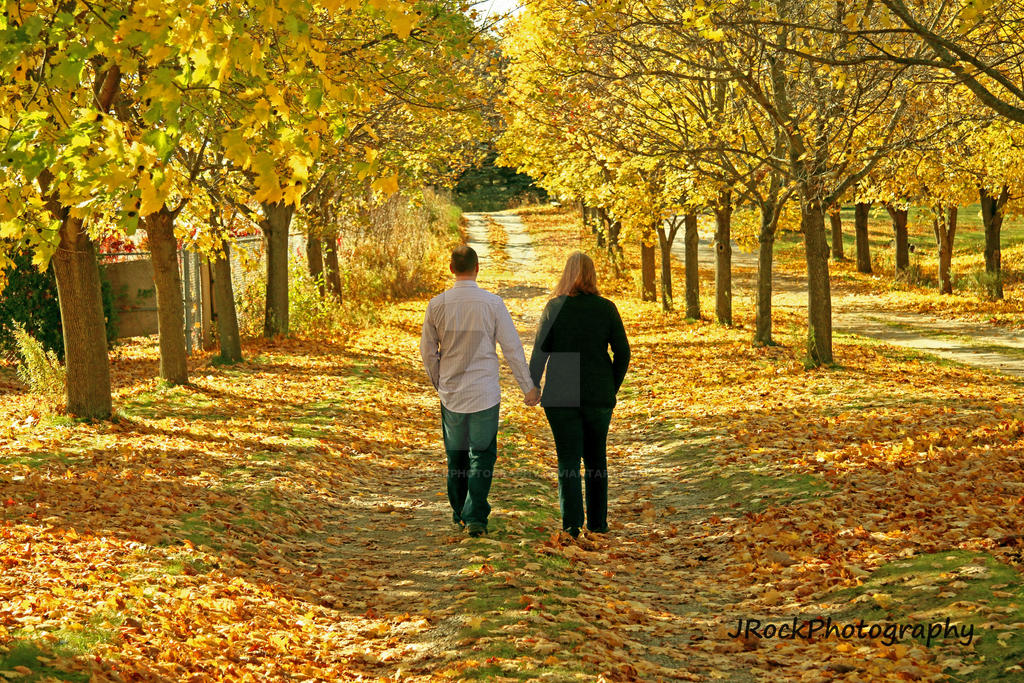 Short Walk Fall Crisp Fall Walk by JossRockPhotography on DeviantArt