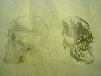 Skulls full